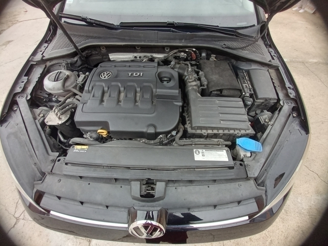 Volkswagen Golf — 21