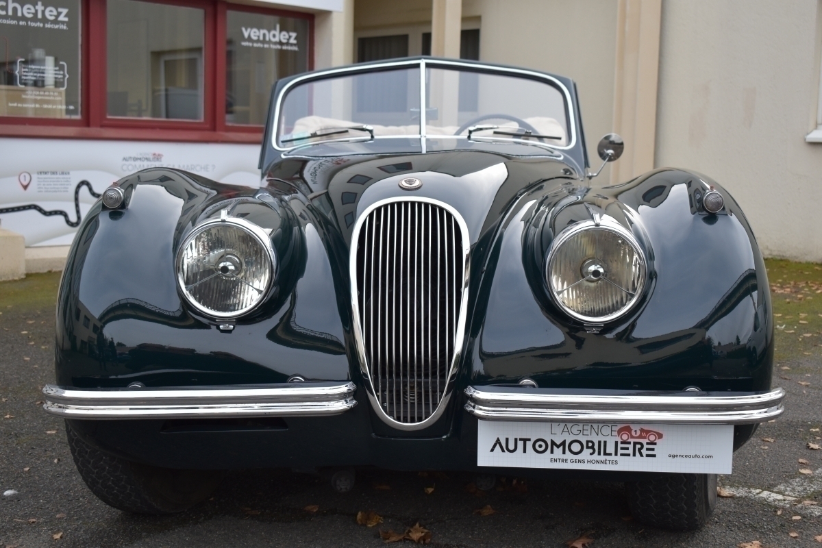 Jaguar XK — 4