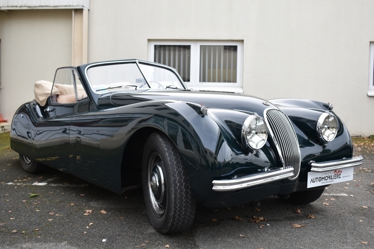 Jaguar XK — 6