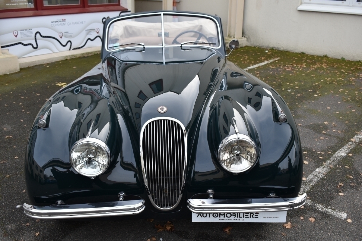 Jaguar XK — 5