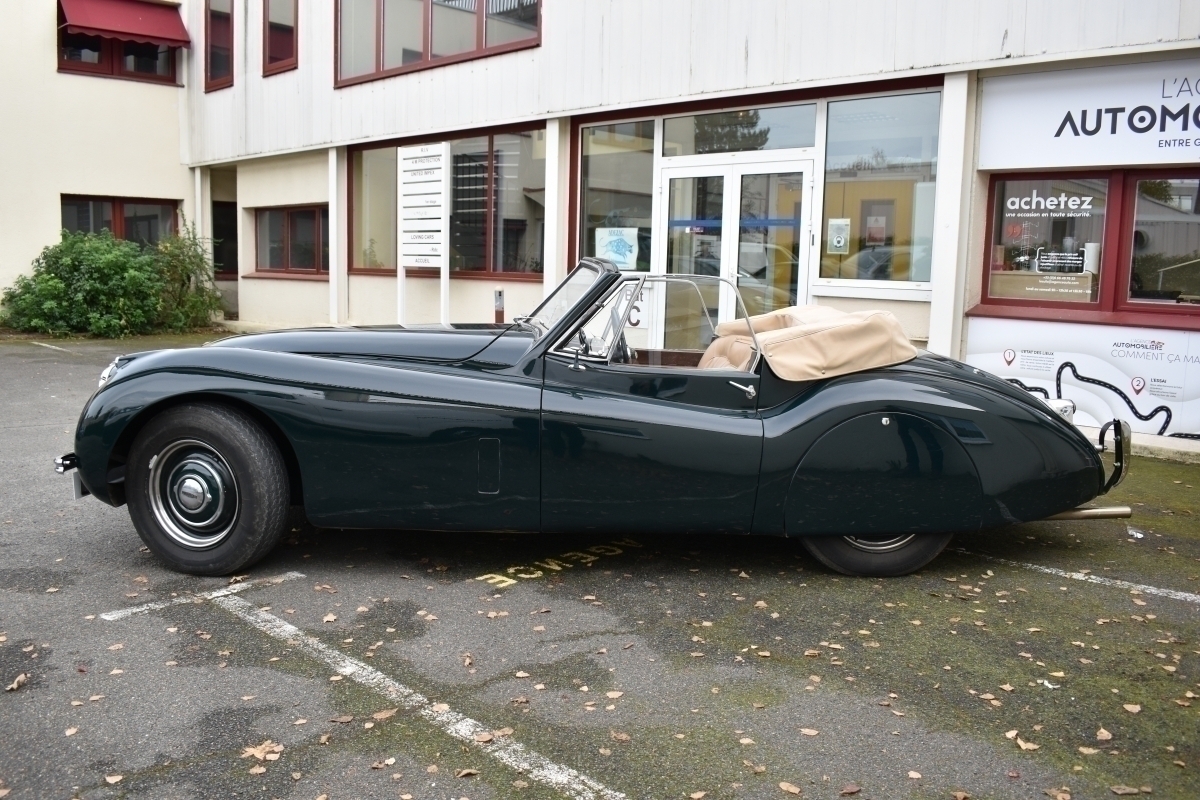Jaguar XK — 14