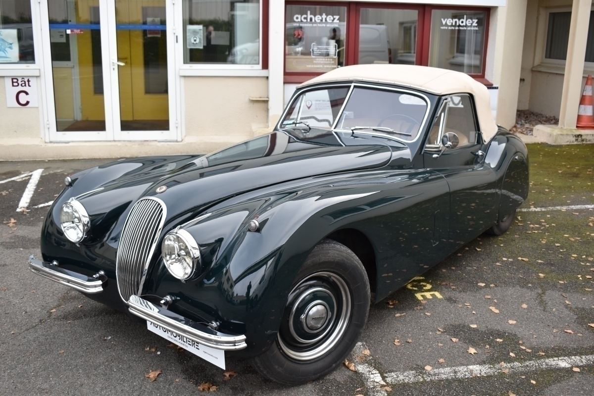 Jaguar XK — 3