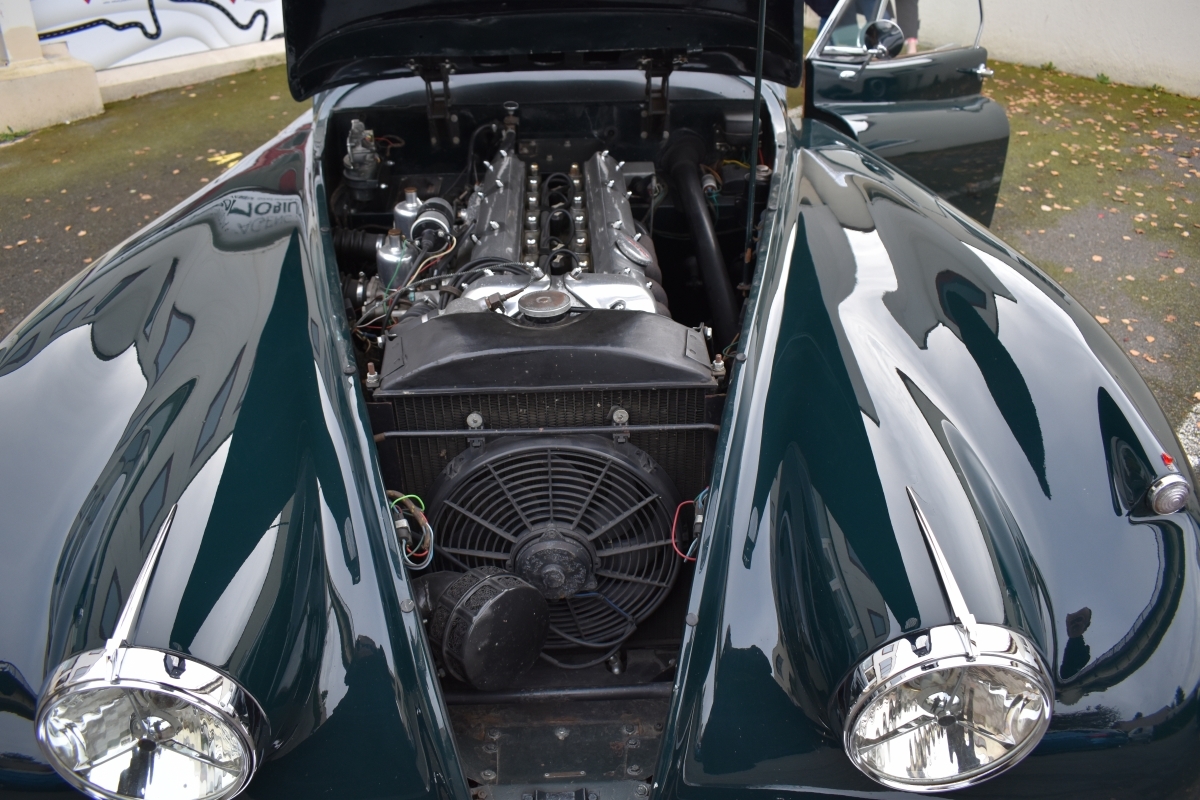 Jaguar XK — 30
