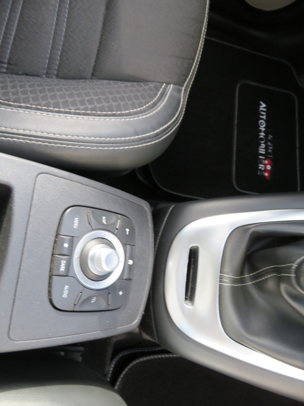 Renault Scenic — 24