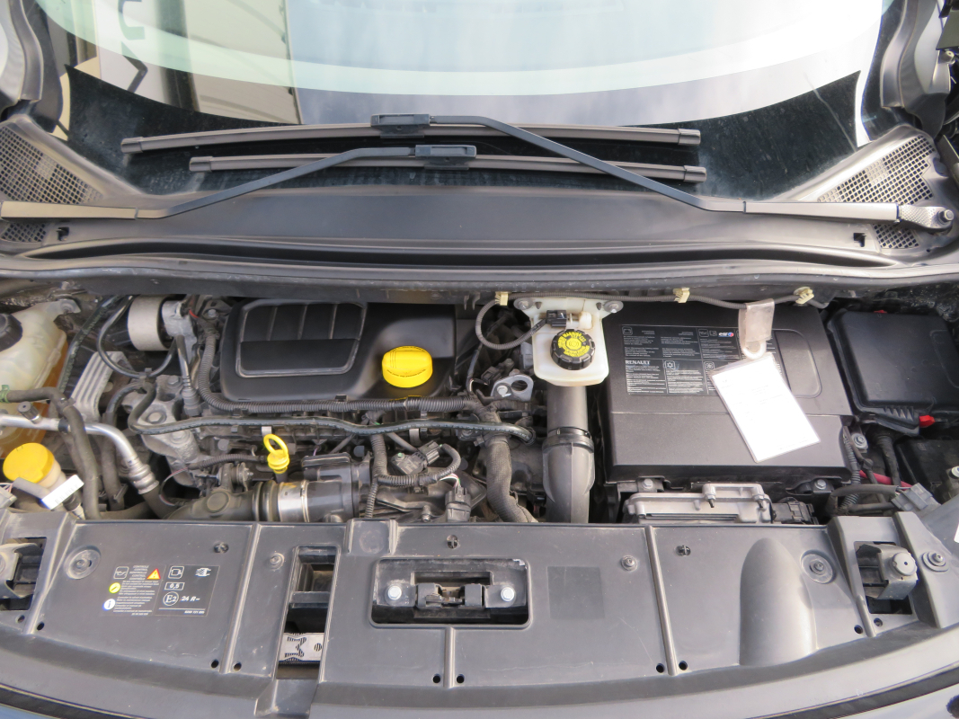 Renault Scenic — 30