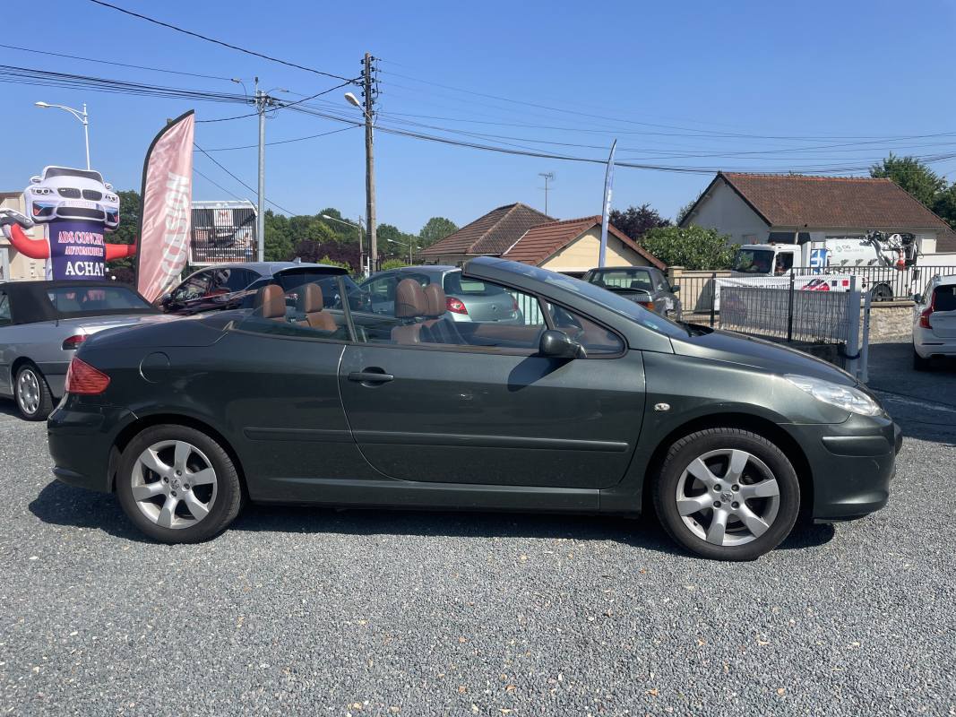 Peugeot 307 — 4