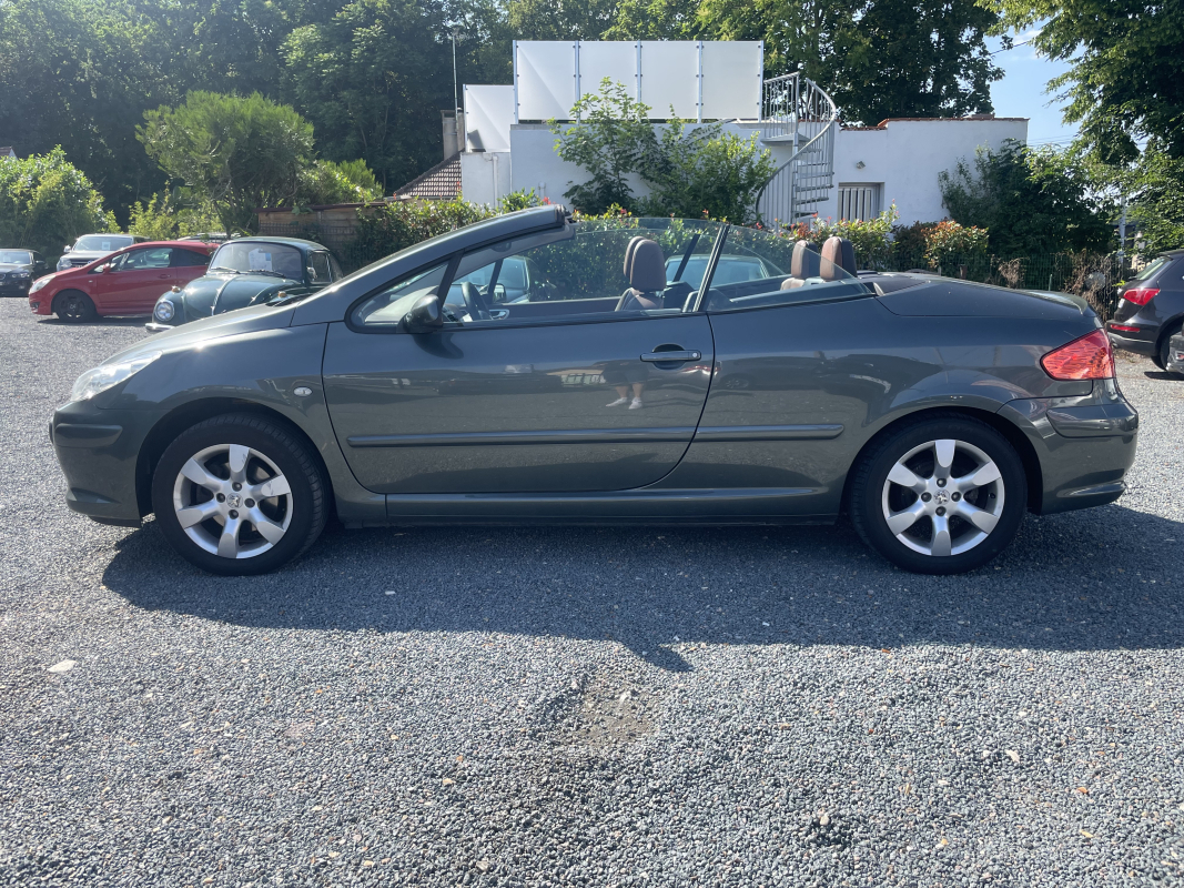 Peugeot 307 — 5