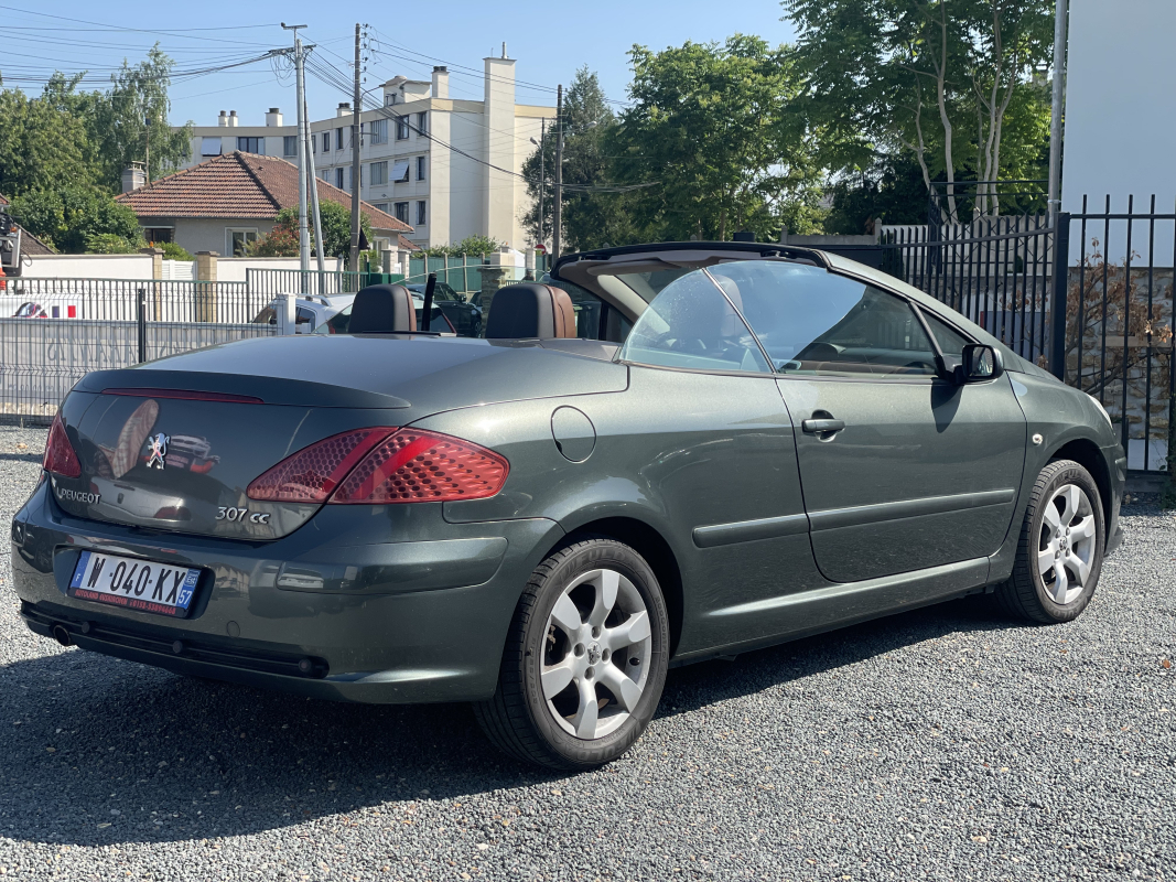 Peugeot 307 — 19