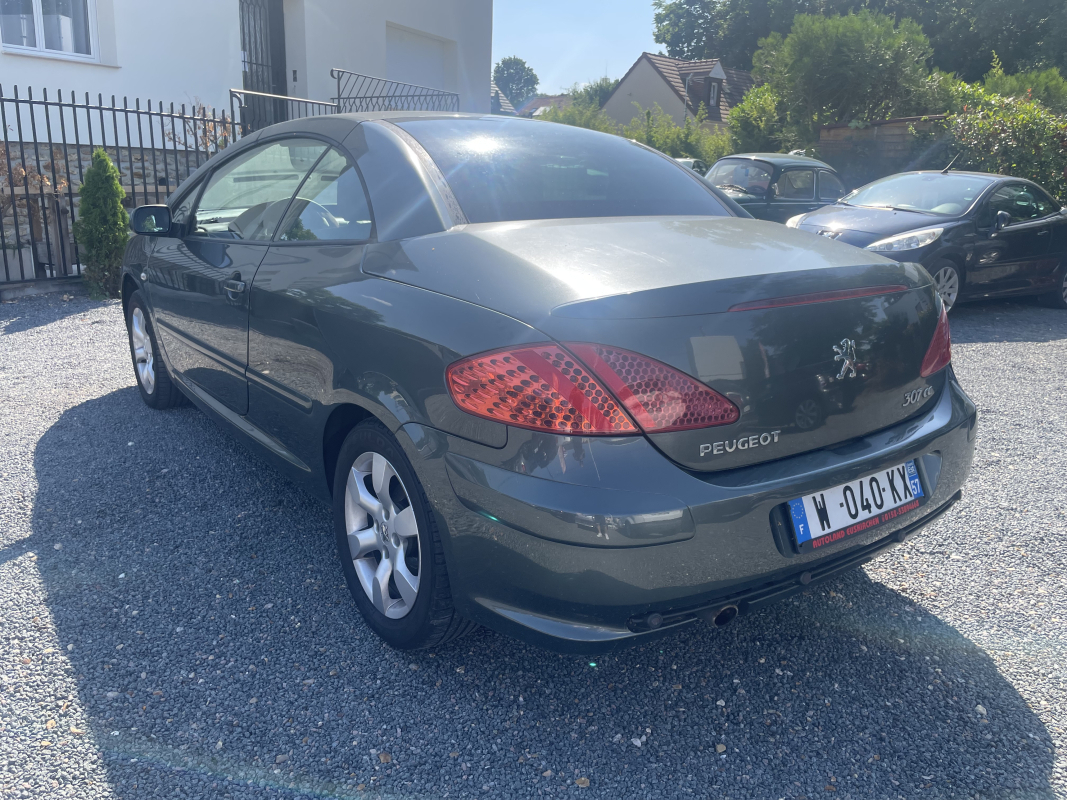 Peugeot 307 — 20