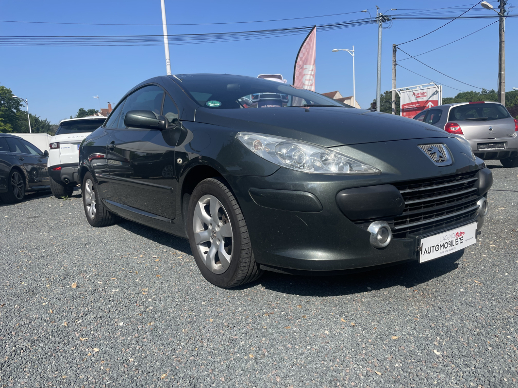 Peugeot 307 — 36
