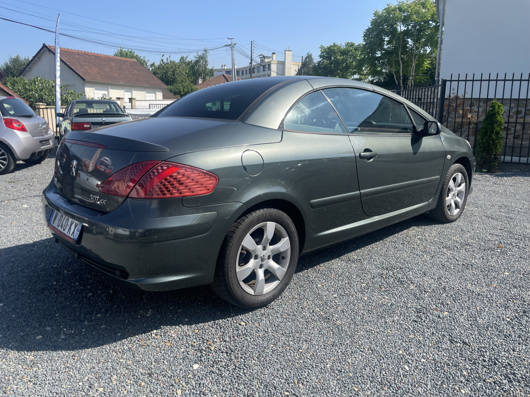 Peugeot 307 — 38