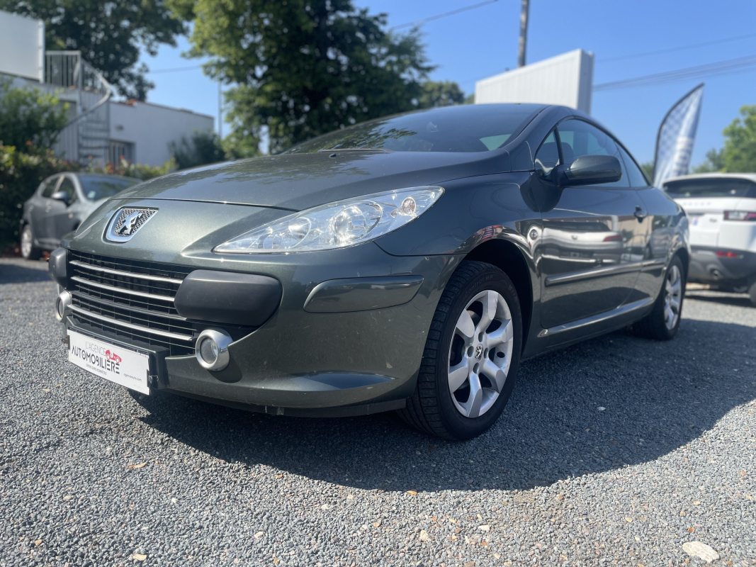 Peugeot 307 — 39