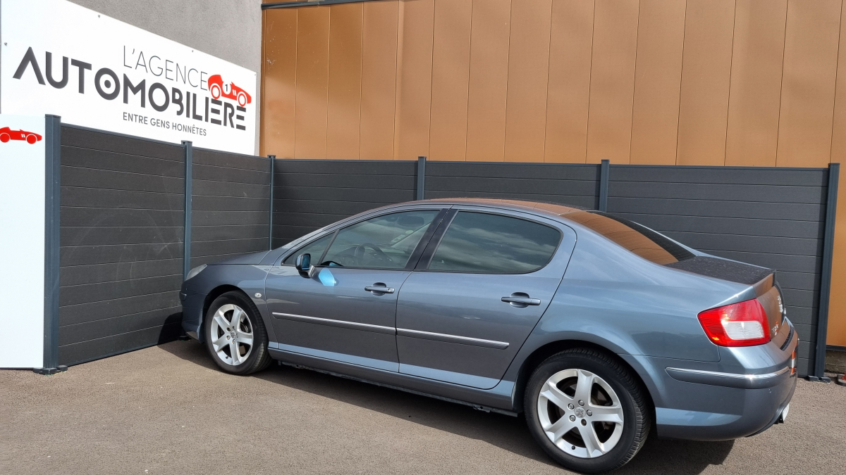 Peugeot 407 — 6