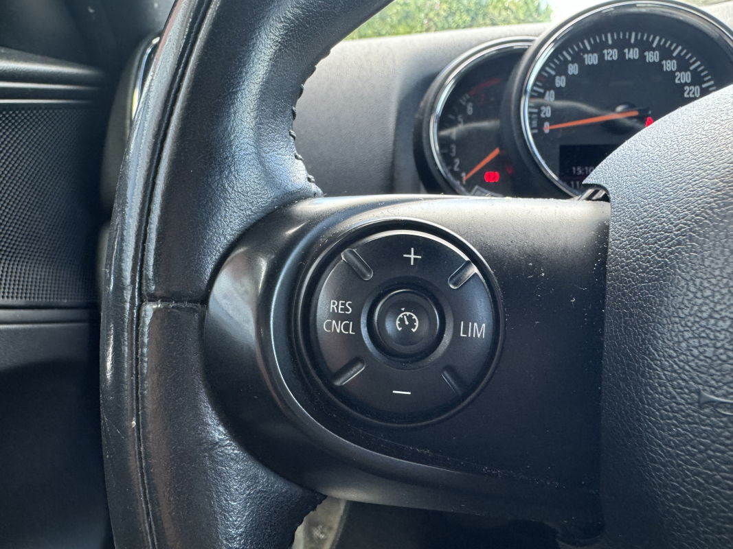 Mini Countryman — 19