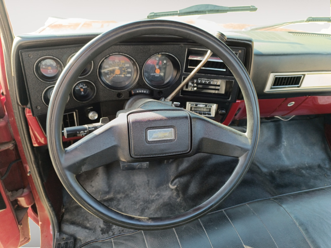 Chevrolet C10 — 15