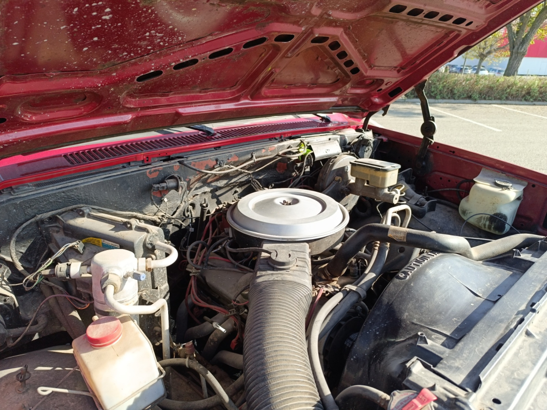 Chevrolet C10 — 28