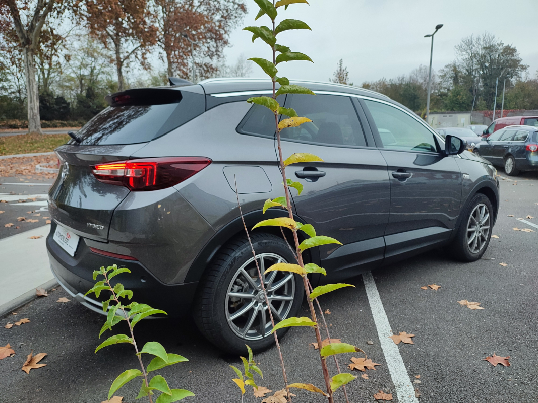 Opel Grandland X — 5