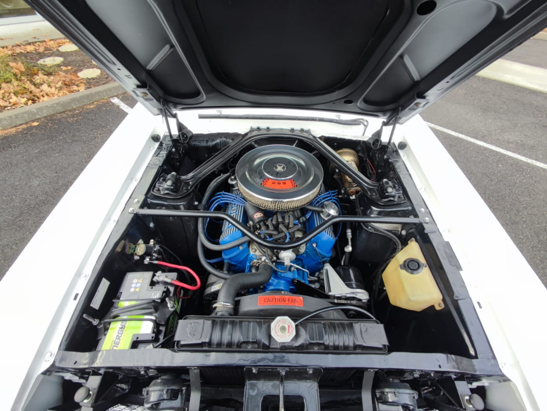 Ford Mustang — 19