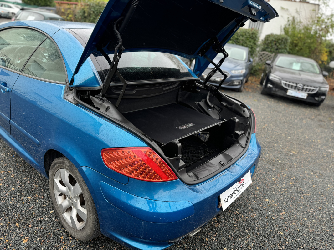 Peugeot 307 — 10