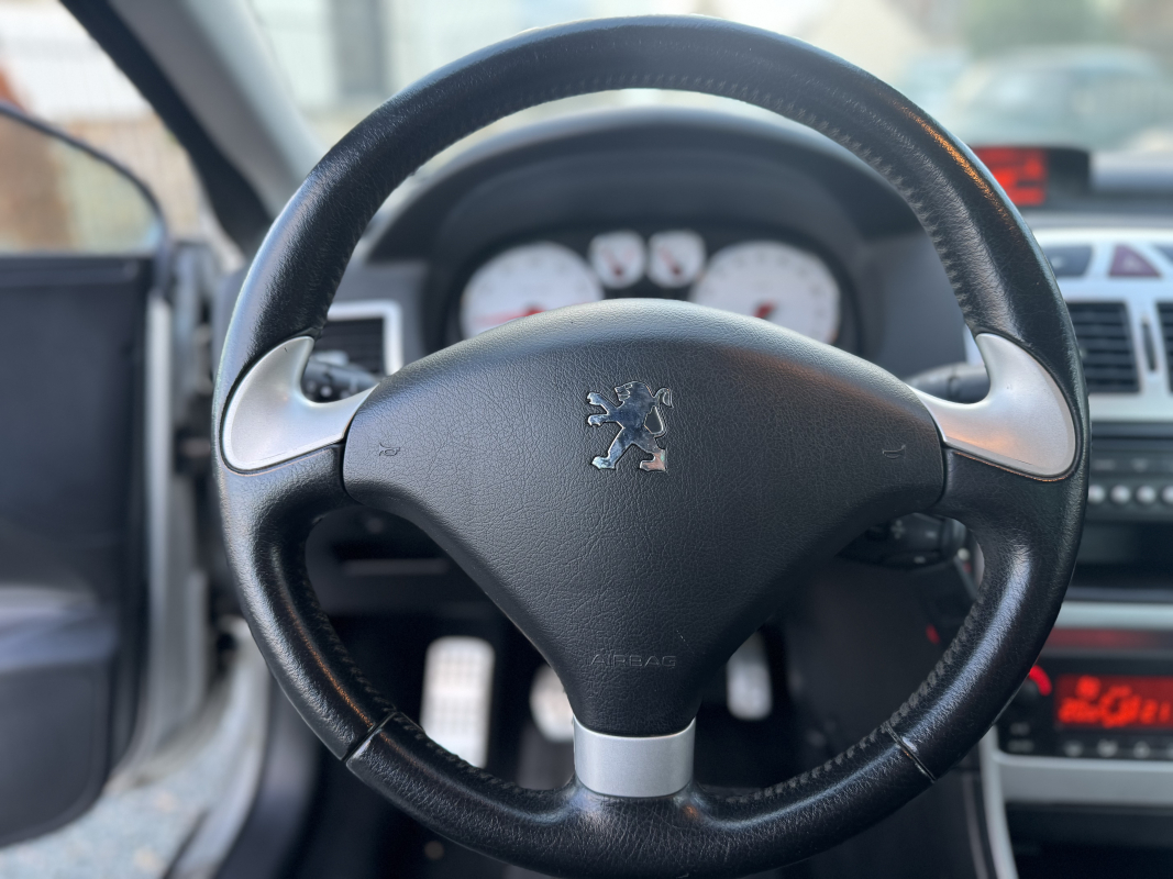 Peugeot 307 — 16