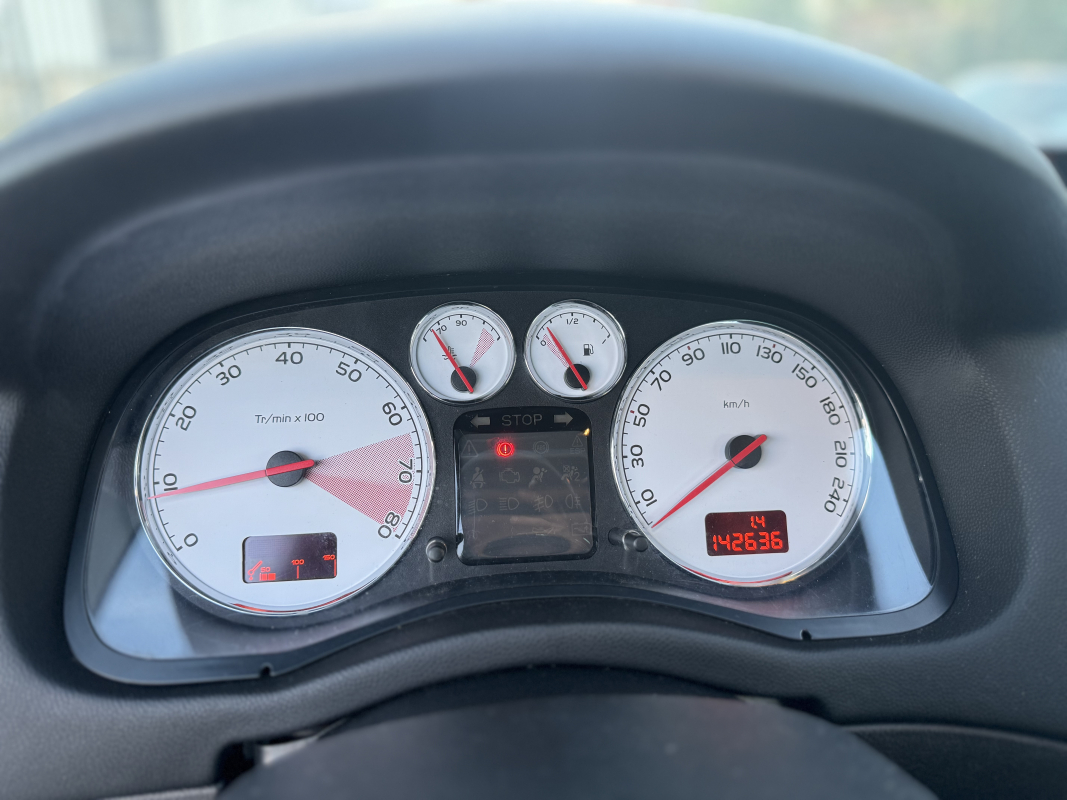 Peugeot 307 — 18
