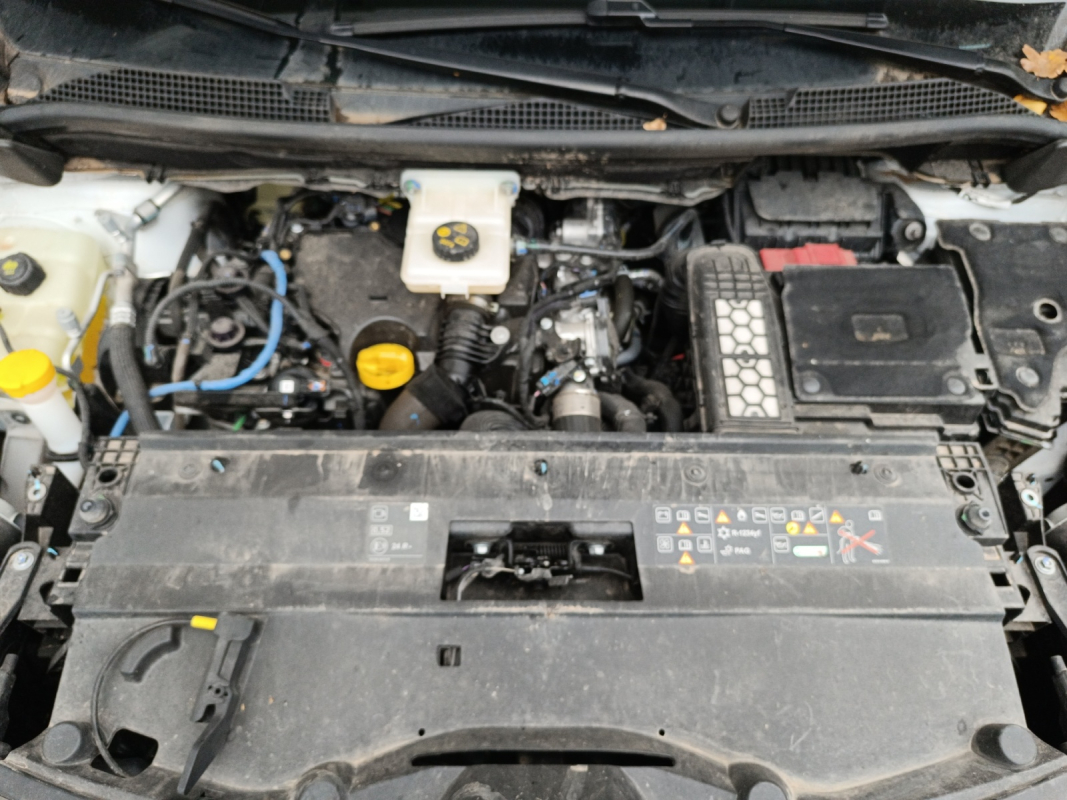 Renault Kangoo — 38