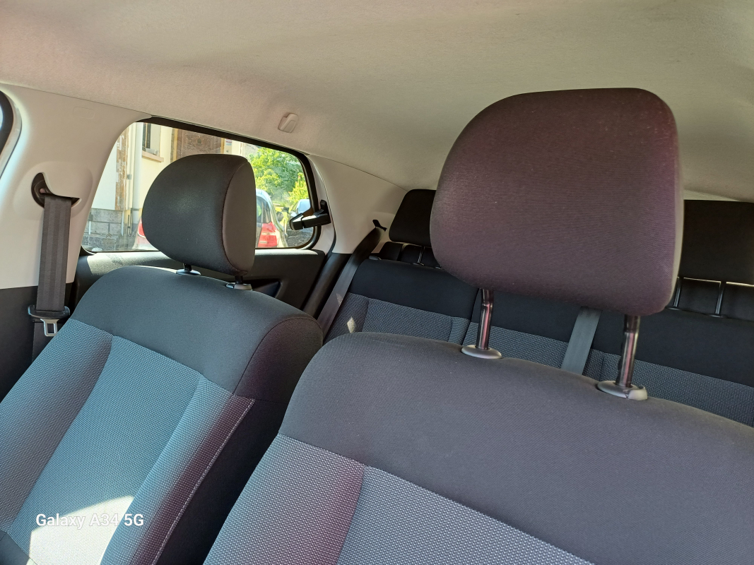 Citroen C4 Cactus — 14