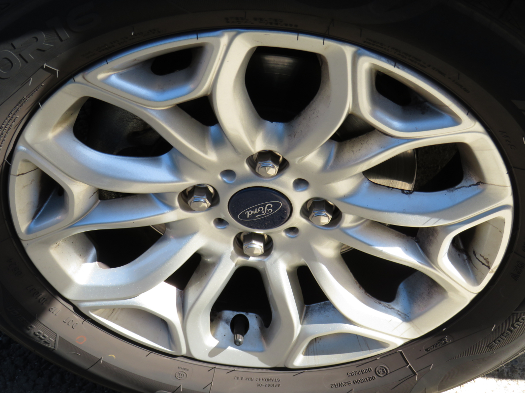 Ford Ecosport — 22