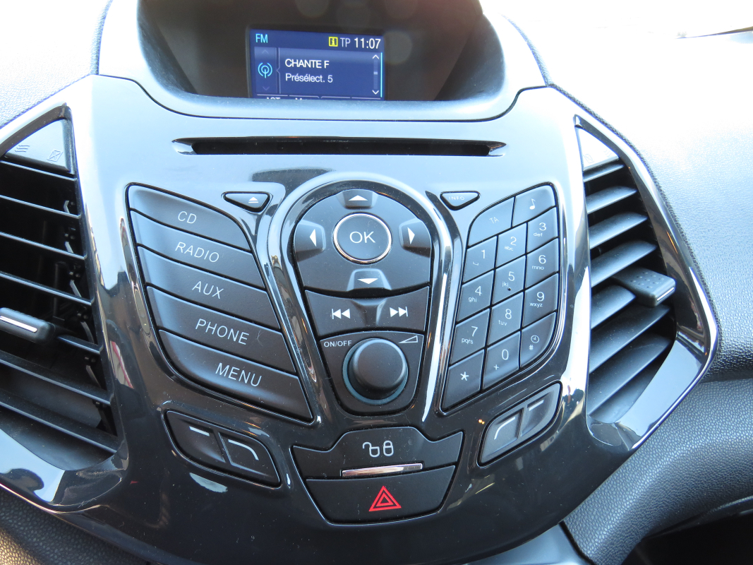 Ford Ecosport — 12