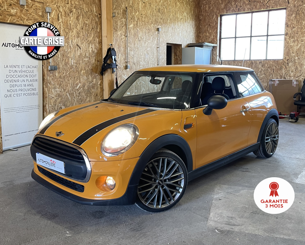 Mini Mini