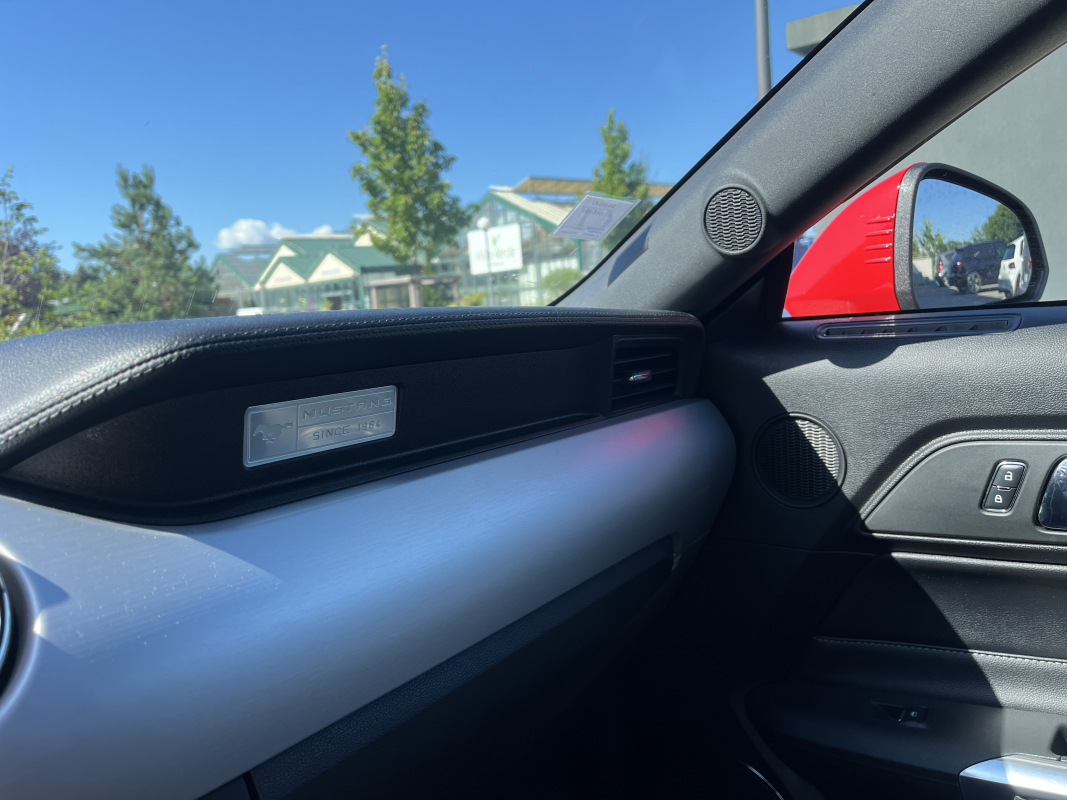 Ford Mustang — 14
