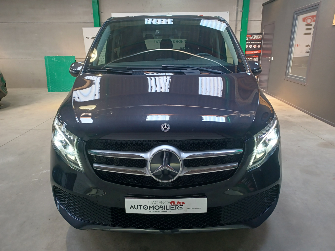 Mercedes Viano — 2