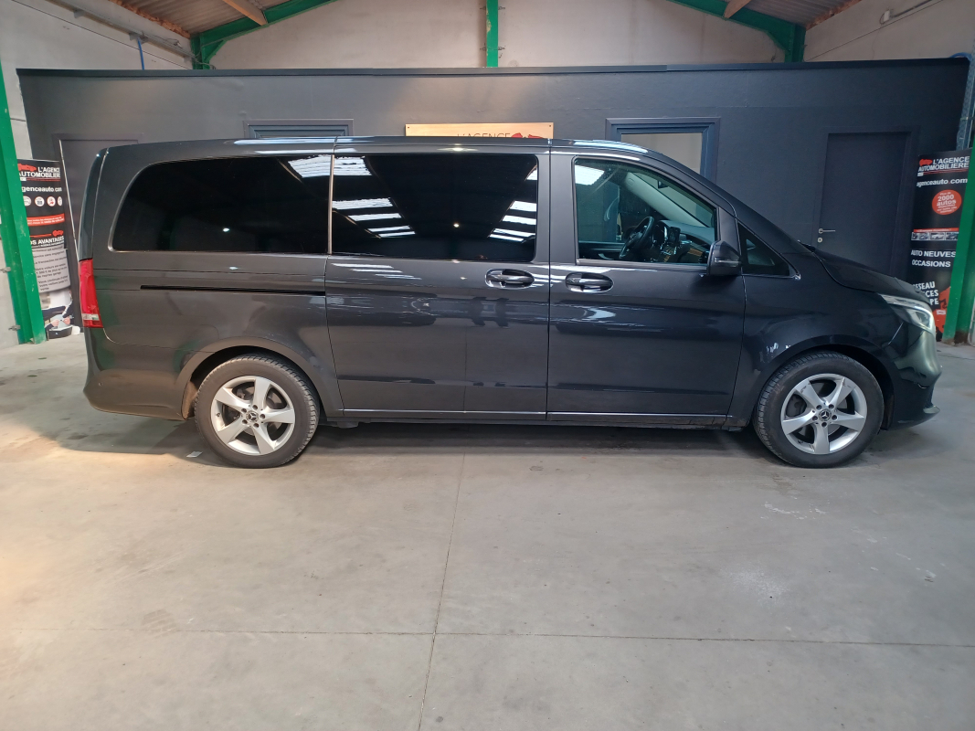 Mercedes Viano — 3