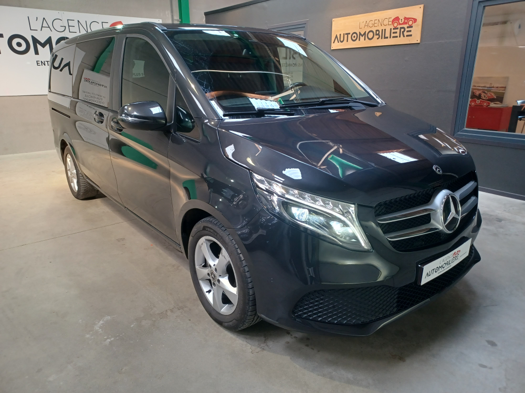 Mercedes Viano — 4