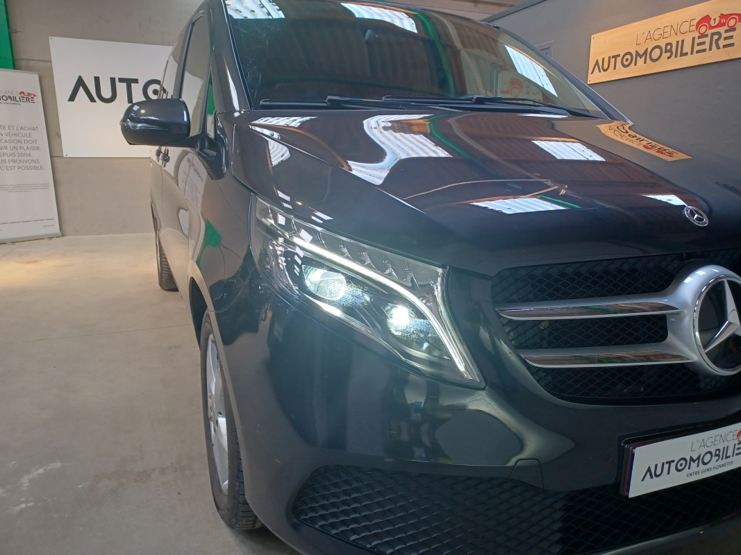 Mercedes Viano — 5