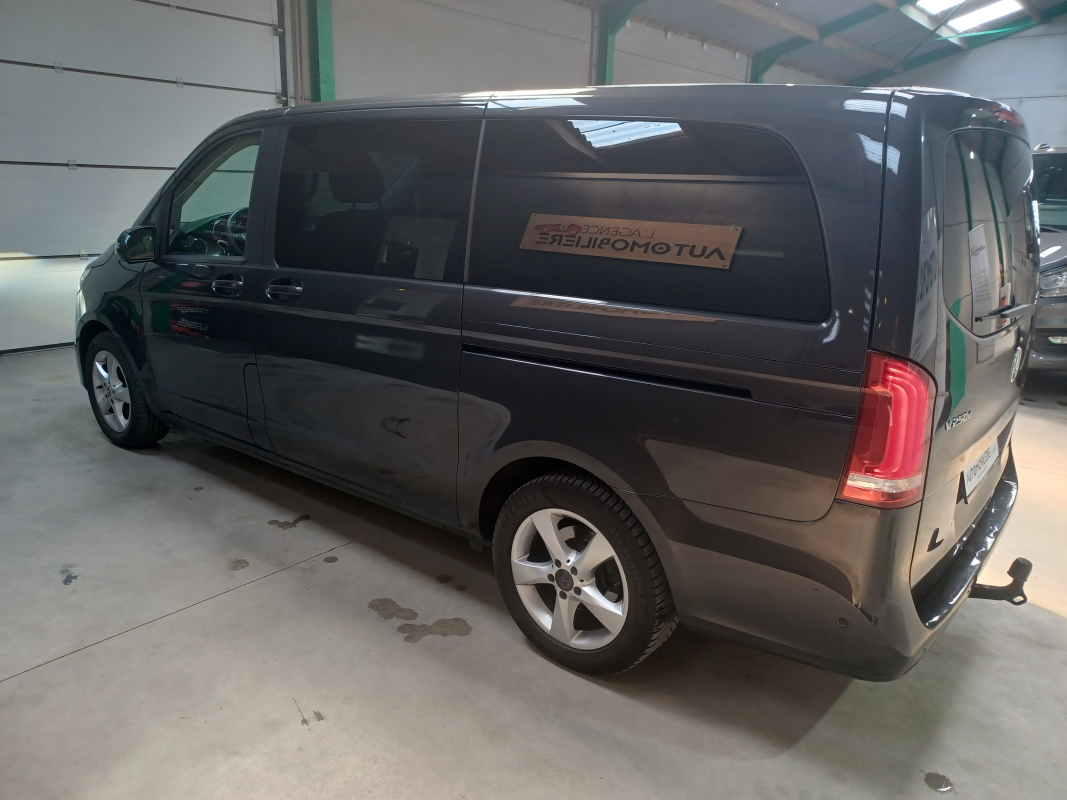 Mercedes Viano — 8