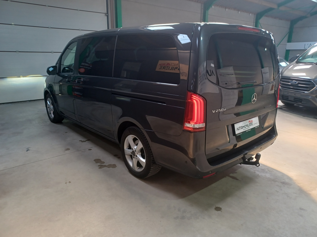 Mercedes Viano — 9