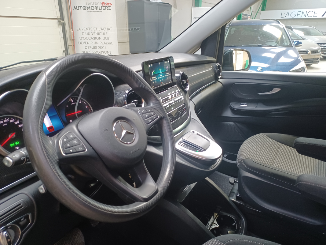 Mercedes Viano — 13