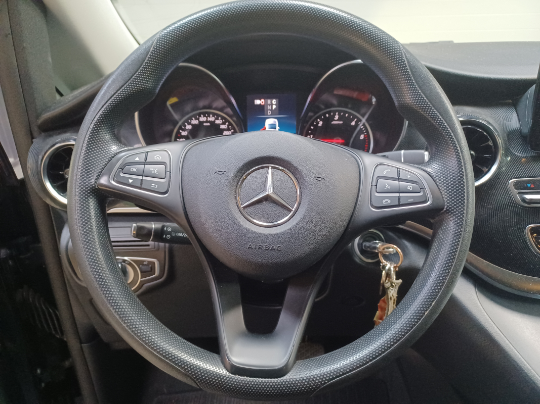 Mercedes Viano — 16