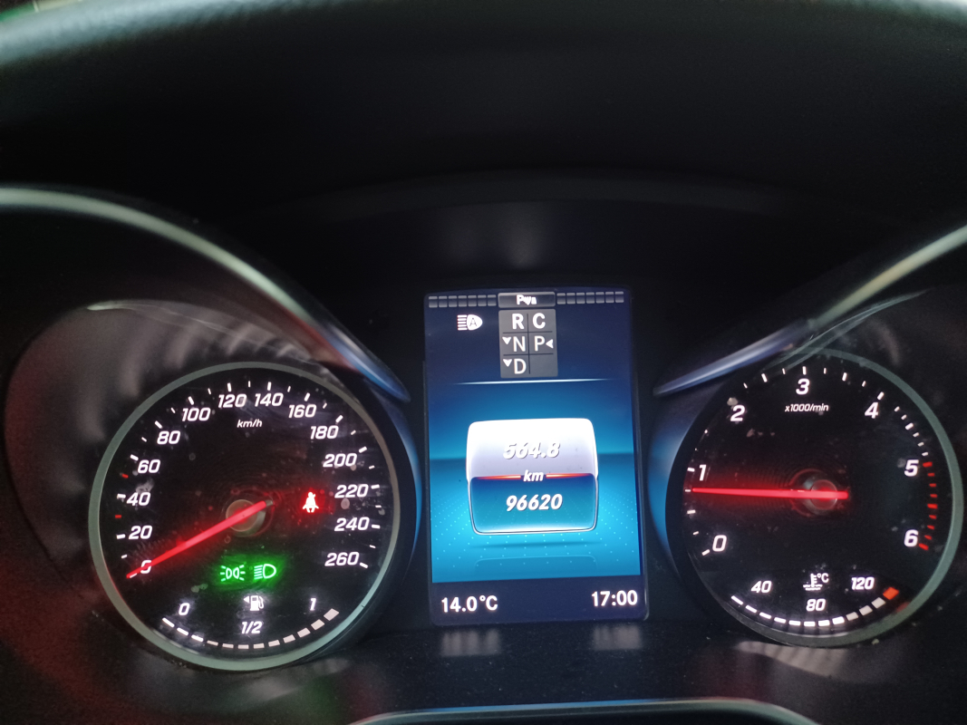 Mercedes Viano — 24