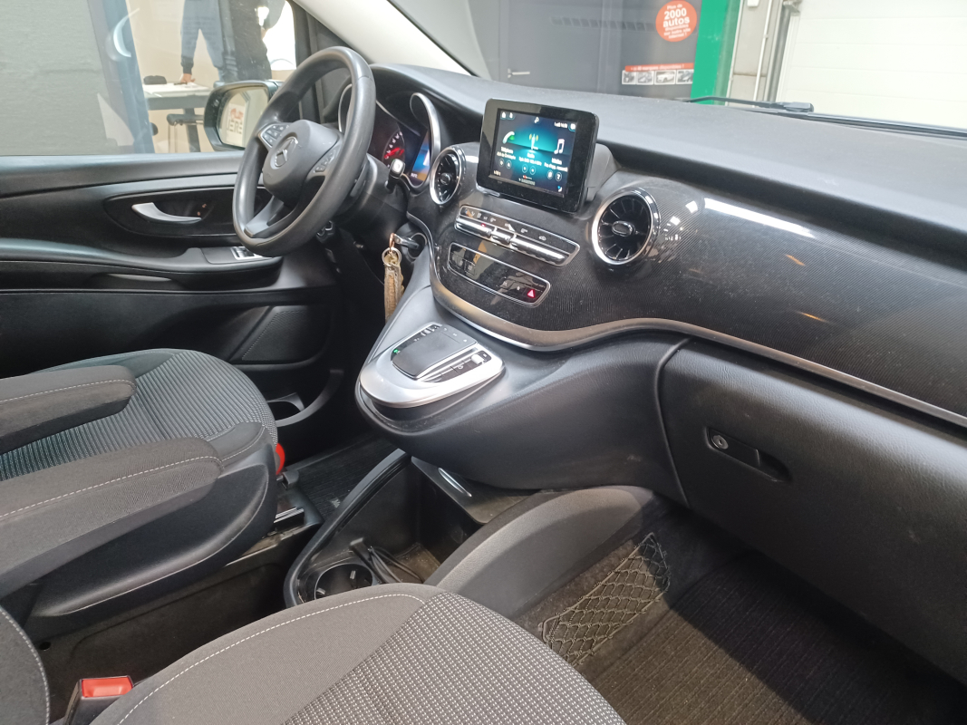 Mercedes Viano — 26