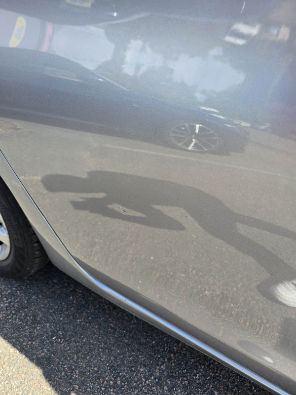 Peugeot 308 — 36