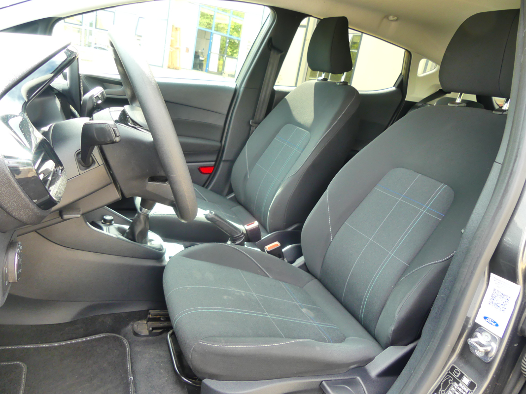Ford Fiesta — 11