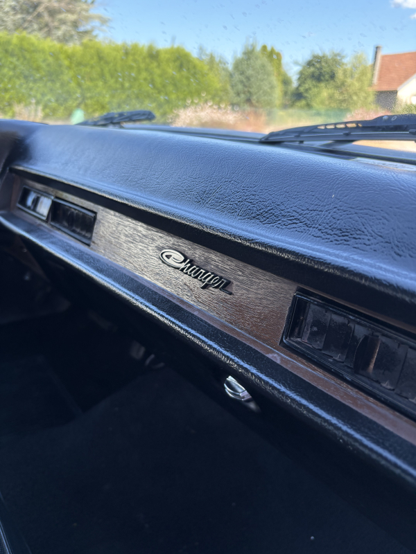 Dodge Charger — 20
