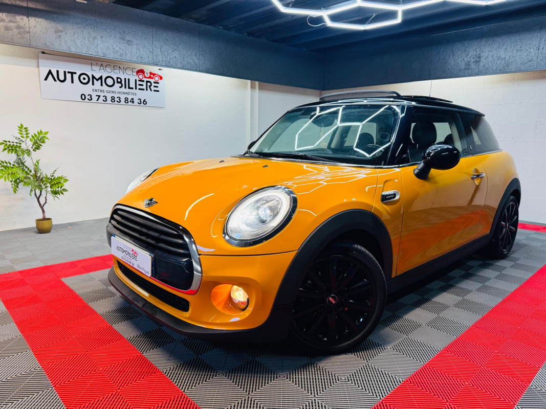 Mini Mini