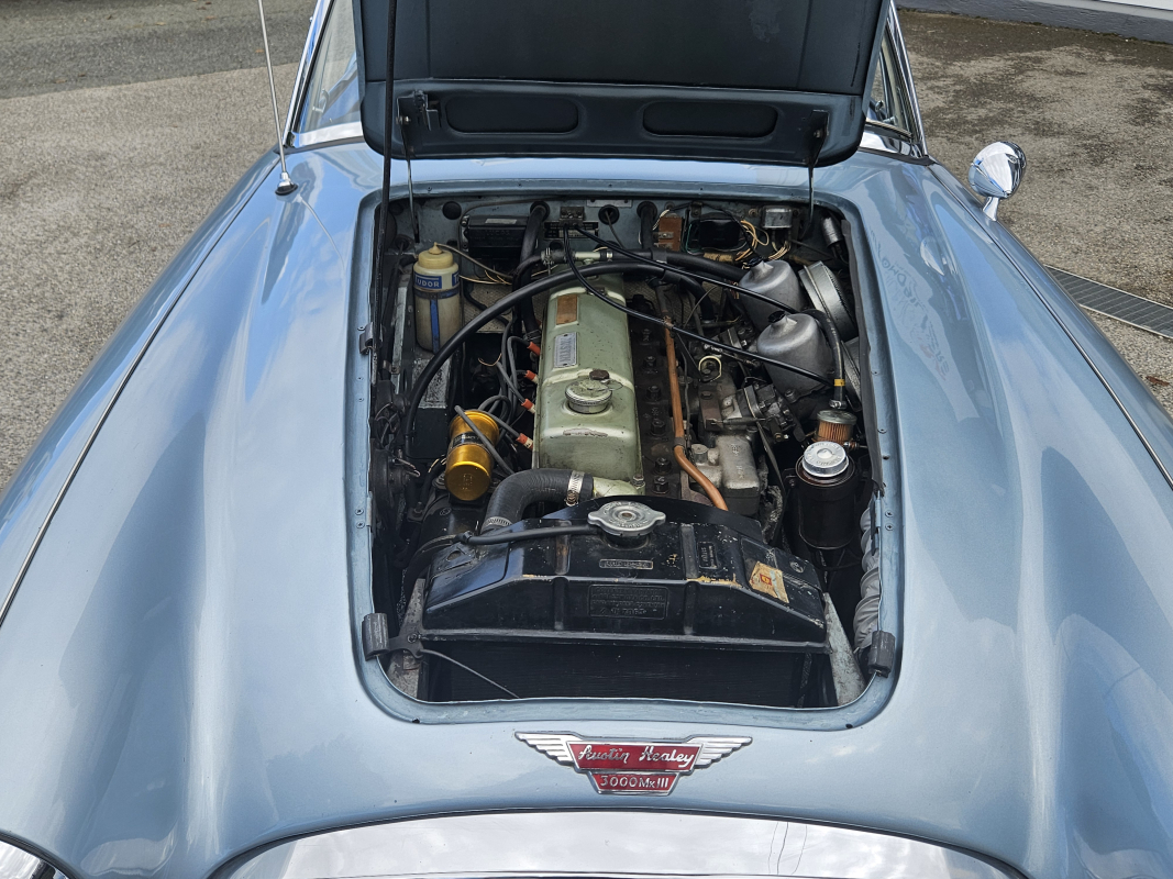 Austin-Healey 3000 — 28
