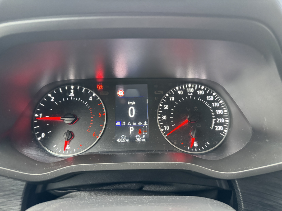 Nissan Primastar — 30
