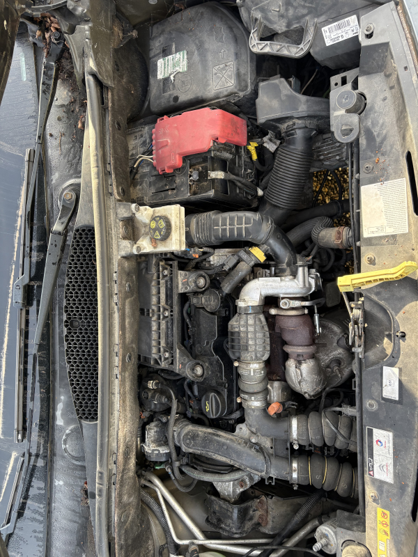 Citroen Berlingo — 17