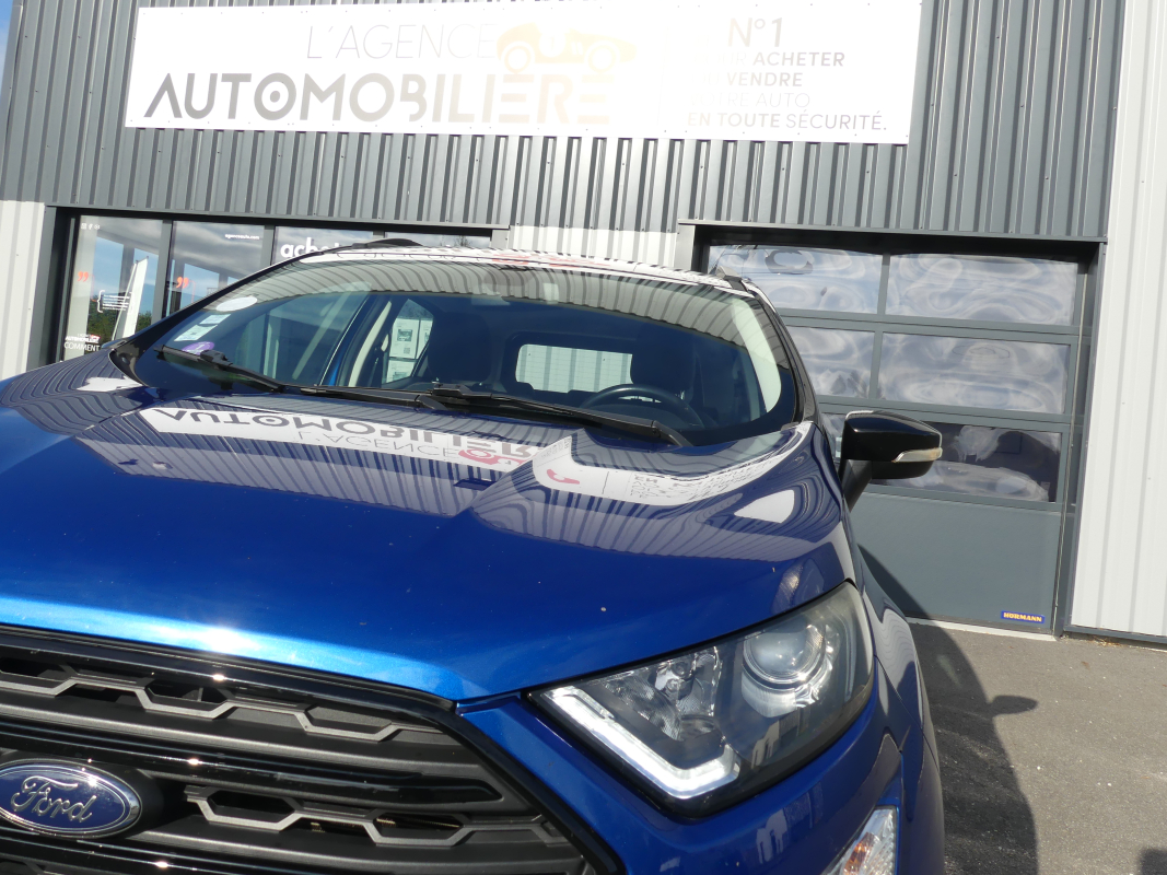 Ford Ecosport — 22