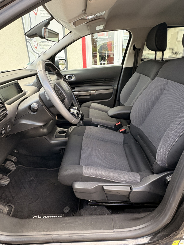 Citroen C4 Cactus — 11